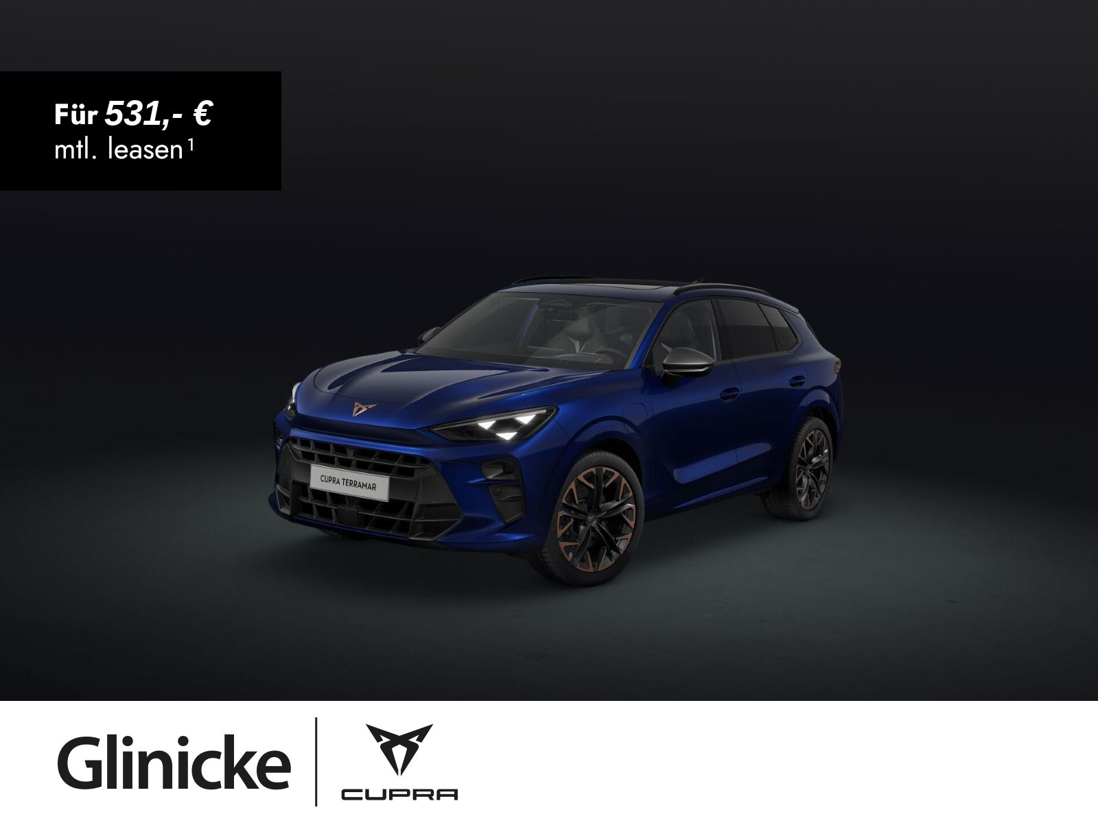 Cupra - Terramar_1
