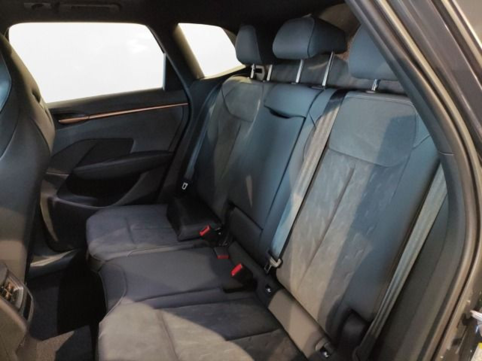 Cupra - Terramar_15