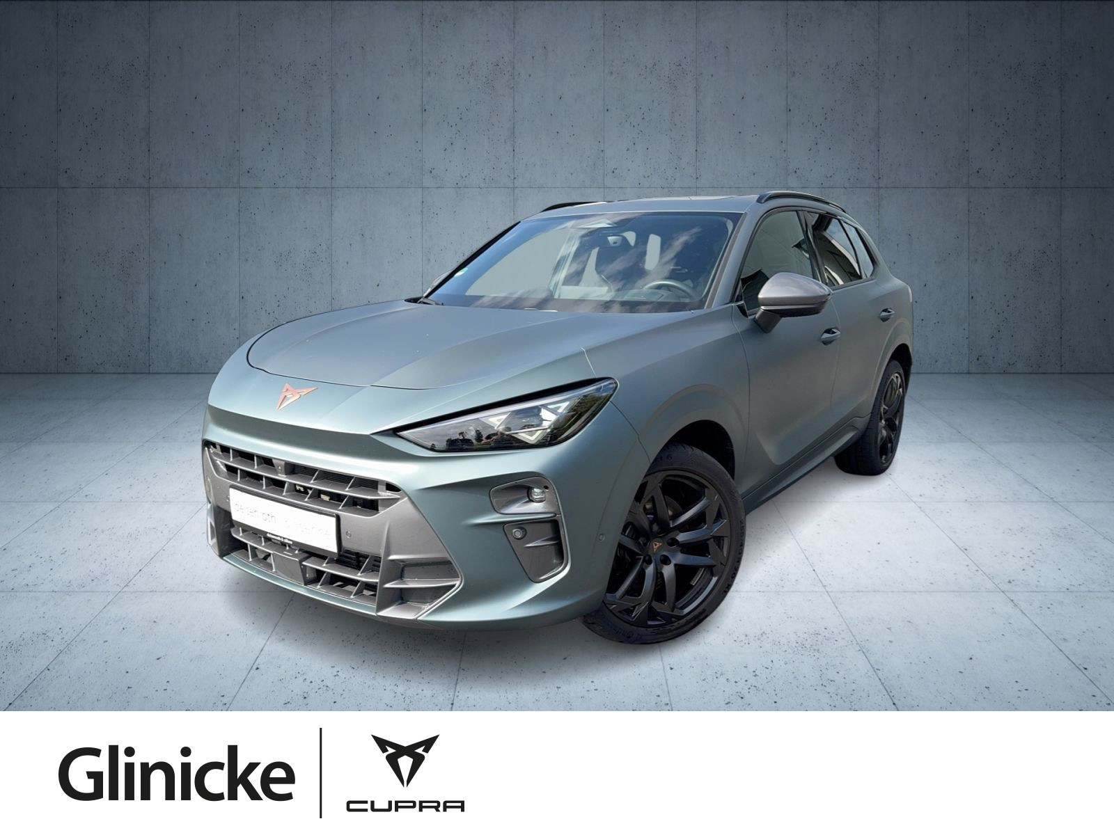Cupra - Terramar_1