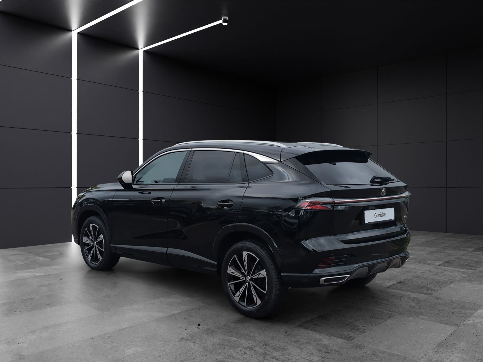 MG - HS_3 MG - HS_3