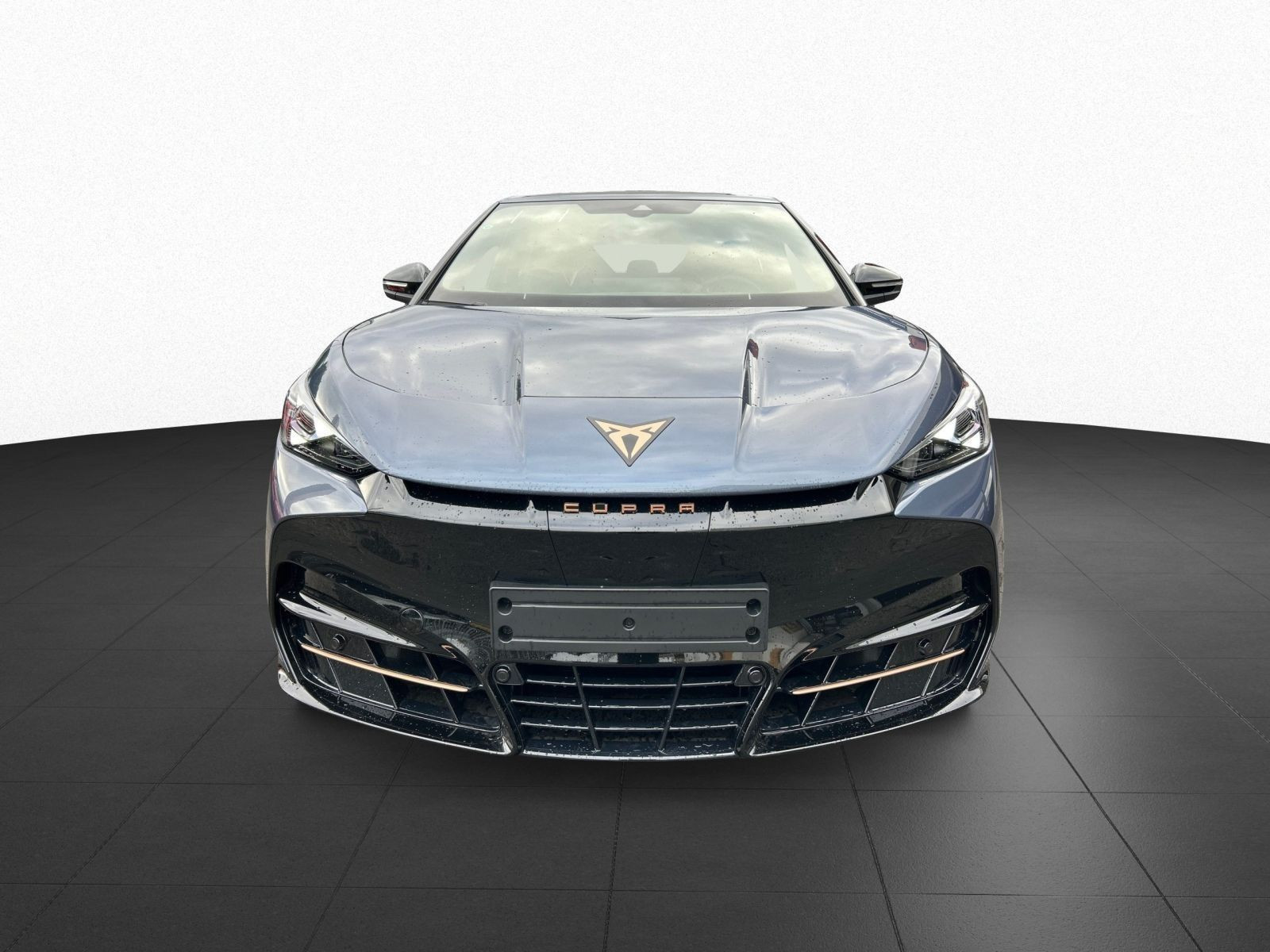 Cupra - Tavascan_5
