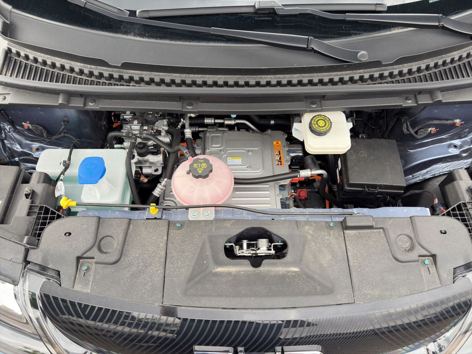 BYD - DOLPHIN_21