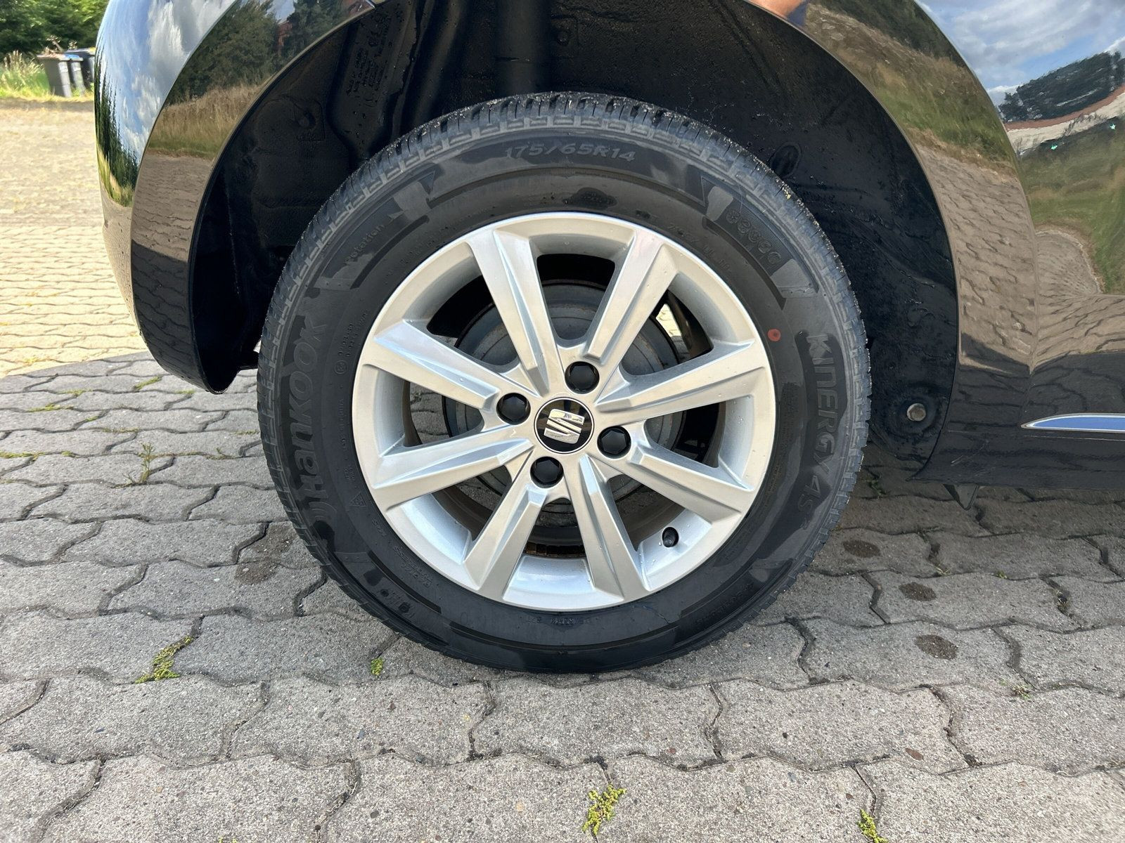 Seat - Mii_16
