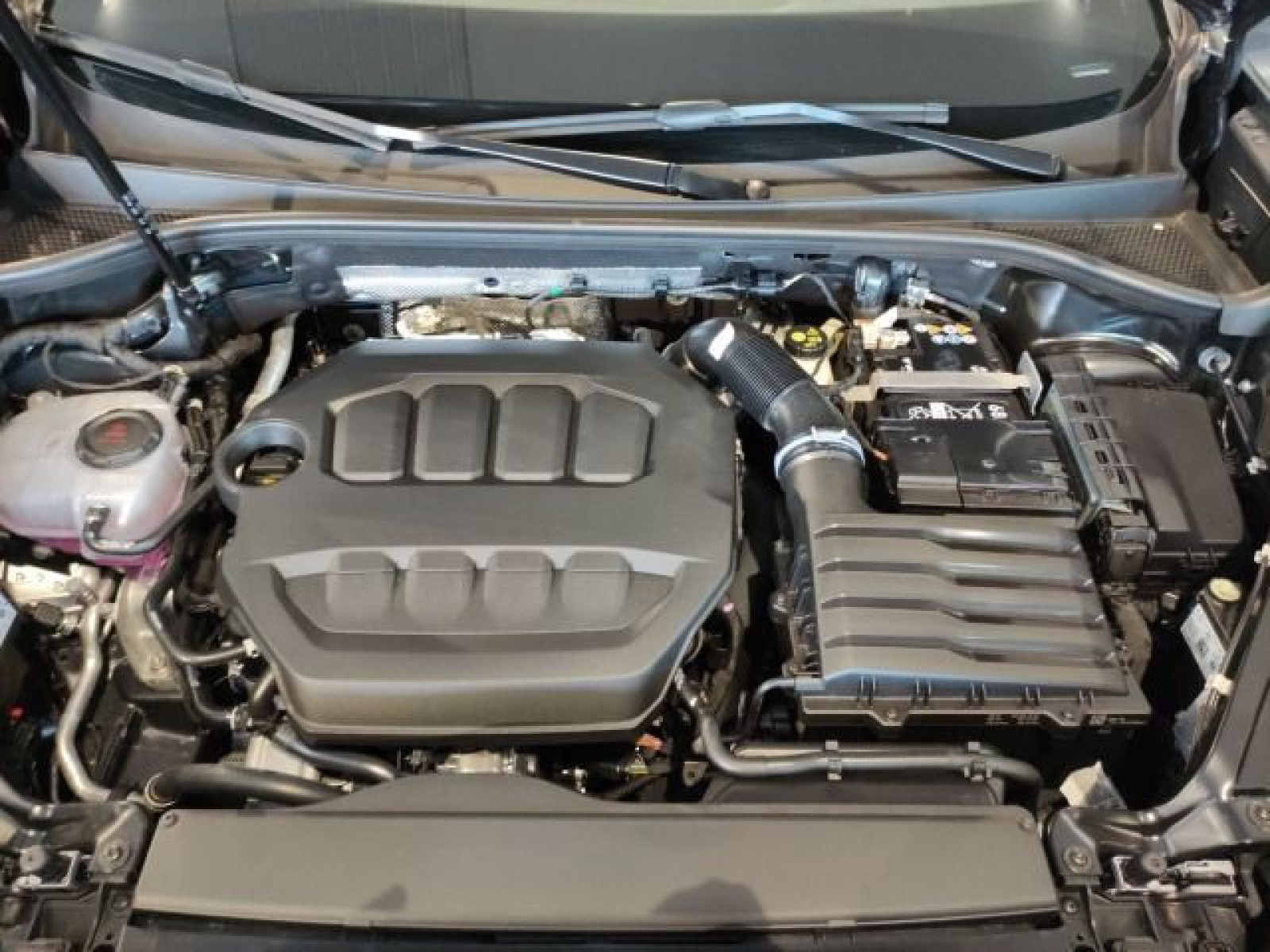 Cupra - Terramar_20